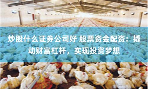 炒股什么证券公司好 股票资金配资：撬动财富杠杆，实现投资梦想