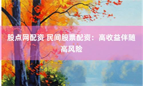 股点网配资 民间股票配资：高收益伴随高风险