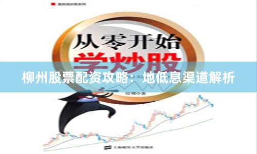 柳州股票配资攻略：地低息渠道解析